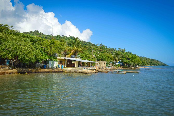 Samana Full-Day Tour With Whale Watching and Horse Riding - Traveler Feedback