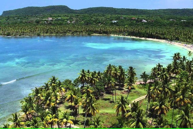 Samana Full Day Trip From Punta Cana - About Your Stay