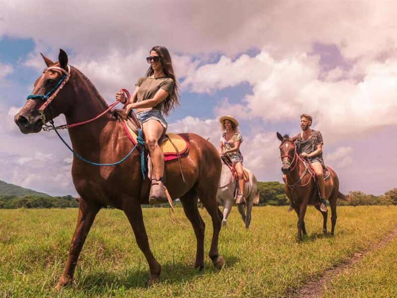 Samana: HorseRiding, Boat Tour in Los Haitises + Cano Hondo - The Itinerary: What to Expect on This Tour