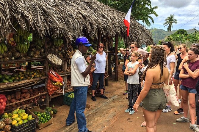 Samana Living Experience Al Natural - Exploring Limon Waterfall