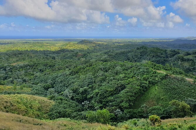 Samana Living Experience Al Natural - Traveler Reviews and Feedback