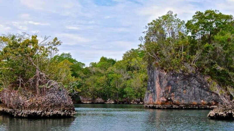 Samana: Los Haitises & Cano Hondo Overnight Tour - Transportation and Timing: Why It Matters