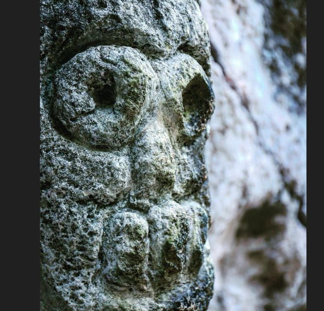 Samana: Los Haitises & Montana Redonda - Personalized and Insightful Experience
