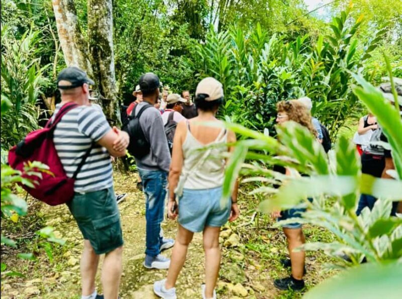 Samana: Los Haitises National Park & Caño Hondo Day Tour - The Sum Up