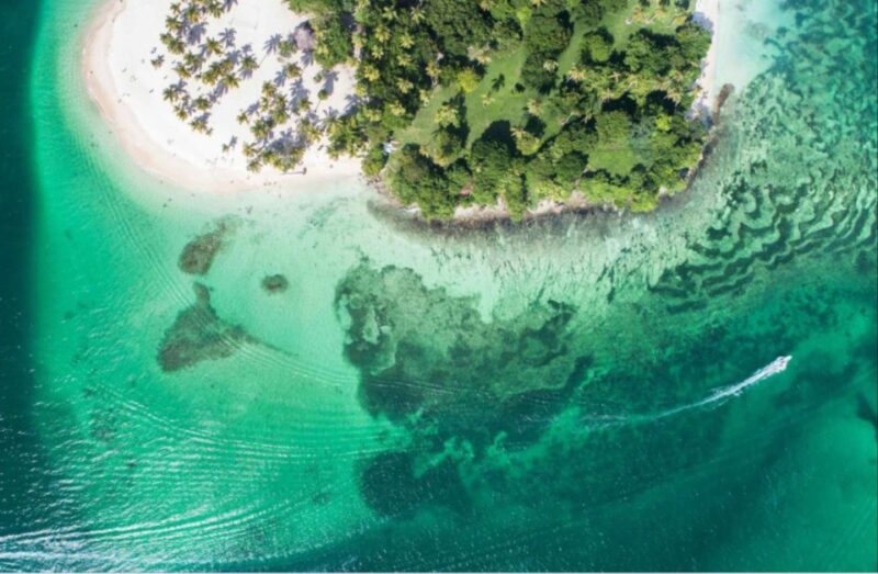 Samana: Los Haitises National Park & Cayo Levantado Tour - Tour Highlights