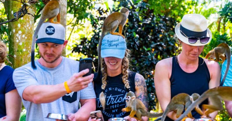 Samaná: Monkeyland and Open-Air Safari Truck Tour - Key Points
