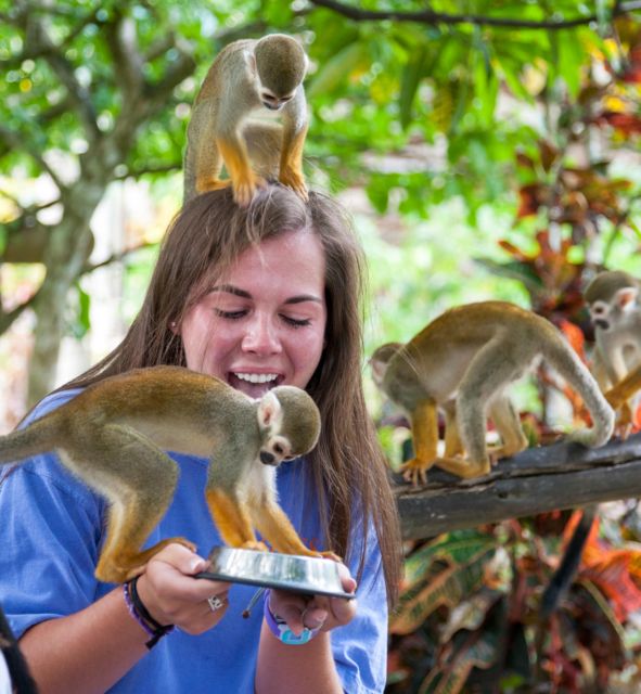 Samaná: Monkeyland and Open-Air Safari Truck Tour - Inclusions