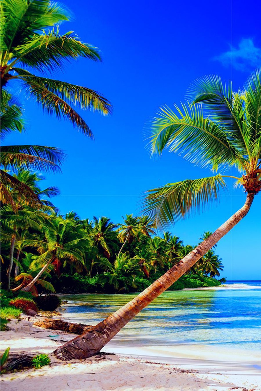 Samana Platinum - Itinerary and Experience