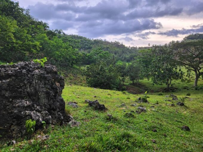 Samana: Private Los Haitises Expedition Caves & Mangroves - Additional Attractions