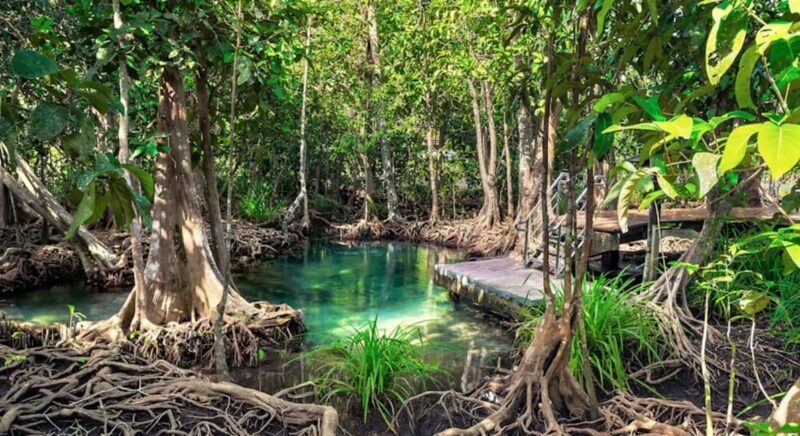 Samana: Visit Samana, Los Haitises Park, and Cayo Levantado Island - The Sum Up: Is This Tour Right for You?