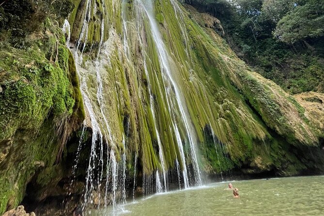 Samana, Waterfall El Limon, Bacardi Island, Whales Watching Group Excursion - Inclusions and Logistics
