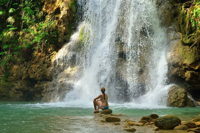 Samana, Waterfall El Limon, Bacardi Island, Whales Watching Group Excursion - Positive Highlights