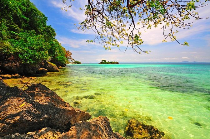 Samana Whale Watching + Cayo Levantado + Limon Waterfalls From Punta Cana Hotels - About Your Stay