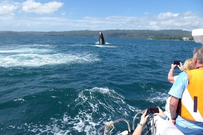 Samaná Whale Watching Excursion and Cayo Levantado Adventure From Punta Cana - Overview of the Excursion