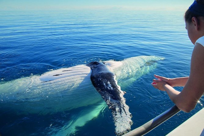 Samana Whale Watching Tour From Las Terrenas. Cayo Levantado With Lunch - Tour Accessibility