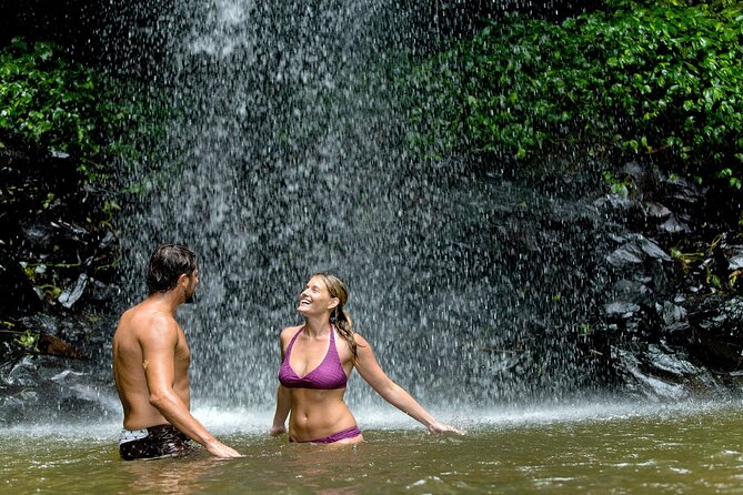Samaná Whale Watching, Waterfall & Cayo Levantado Adventure - Transportation and Safety Considerations