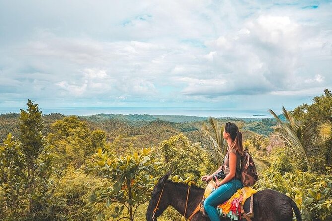Samaná Whale Watching, Waterfall & Cayo Levantado Adventure - Booking and Cancellation Information