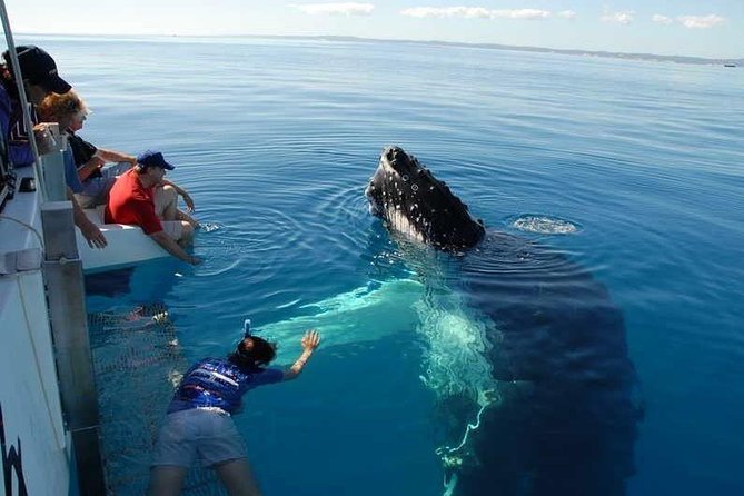 Samana & Whales From Punta Cana - Booking Your Stay
