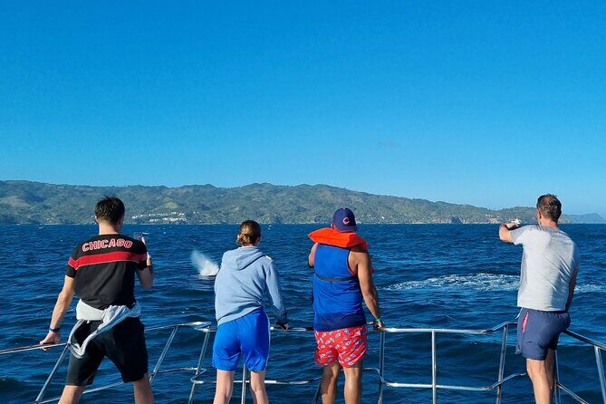 Samana Whales Watching Full Day Tour with Cayo Levantado and more - A Closer Look at the Itinerary