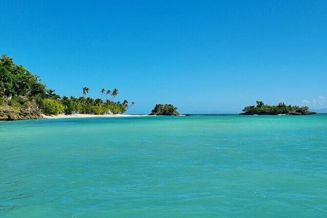 Samana Whales Watching Full Day Tour with Cayo Levantado and more - What Past Travelers Say