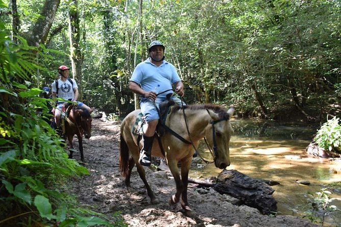 Samana With Cayo Levantado, Full Day Tour! All Inclusive - Tour Overview