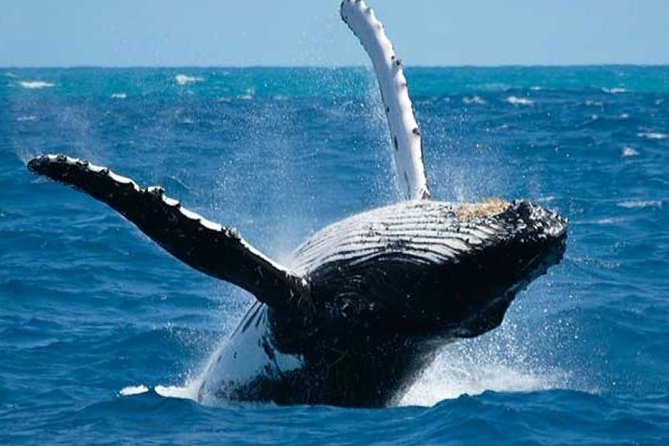 Samana With Cayo Levantado, Full Day Tour! All Inclusive - Beautiful Locations