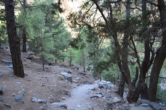 Samaria Gorge From Chania - Traveler Reviews and Feedback