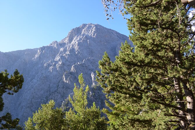 Samaria Gorge From Chania - Planning Your Samaria Gorge Adventure