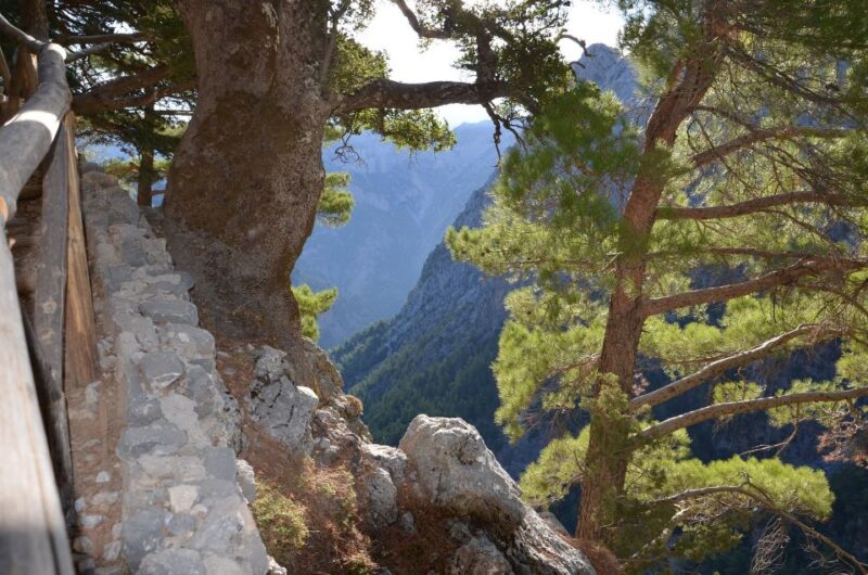 Samariá Gorge Hike: Day Excursion From Chania - Hiking Details