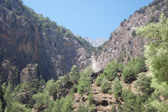 Samaria Gorge Transfer From Chania (Price per Group of 6) - Transfer Details and Inclusions