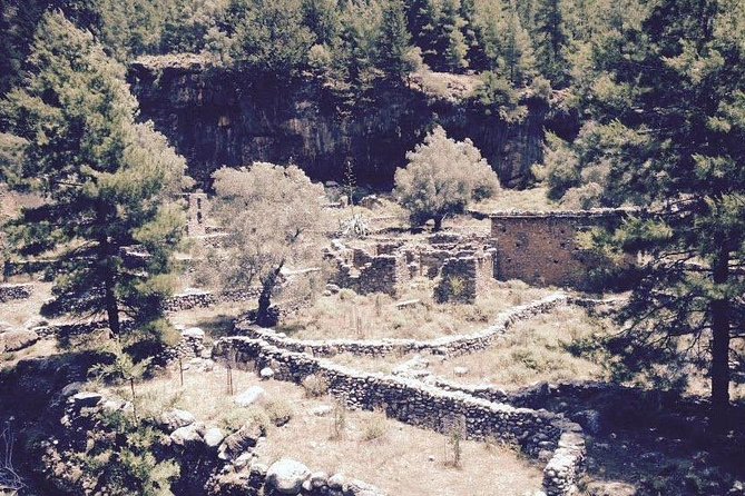 Samaria Gorge Transfer From Chania (Price per Group of 6) - What to Expect