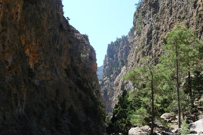 Samaria Gorge Trek: Full-Day Excursion From Heraklion - Traveler Feedback and Ratings
