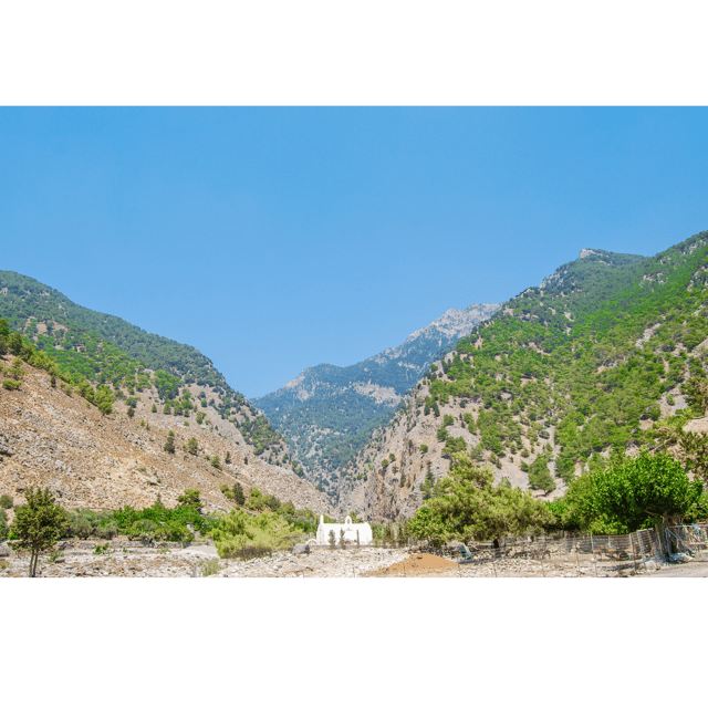 SAMARIA:Hiking Samaria Gorge/Agia Roumeli/Sfakia - Highlights and Wildlife