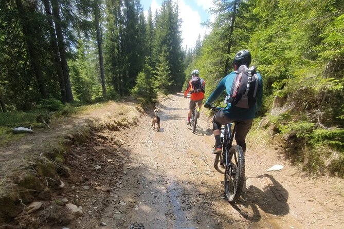 Sambata De Sus: E-Bike Guided Tours - Customer Ratings and Reviews
