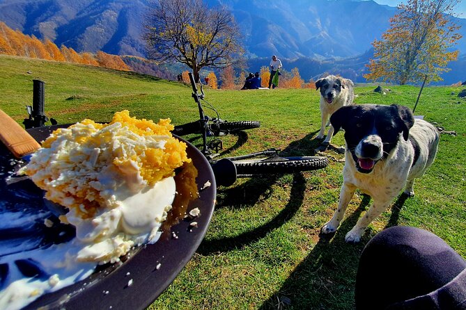 Sambata De Sus: E-Bike Guided Tours - Scenic Routes and Local Attractions