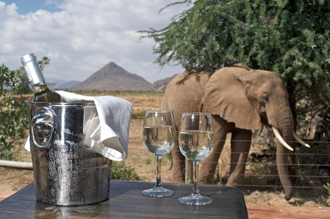 Samburu/ Aberdare/ Lake Nakuru/ Masai Mara 7 Days Safari - Private Transportation and Amenities