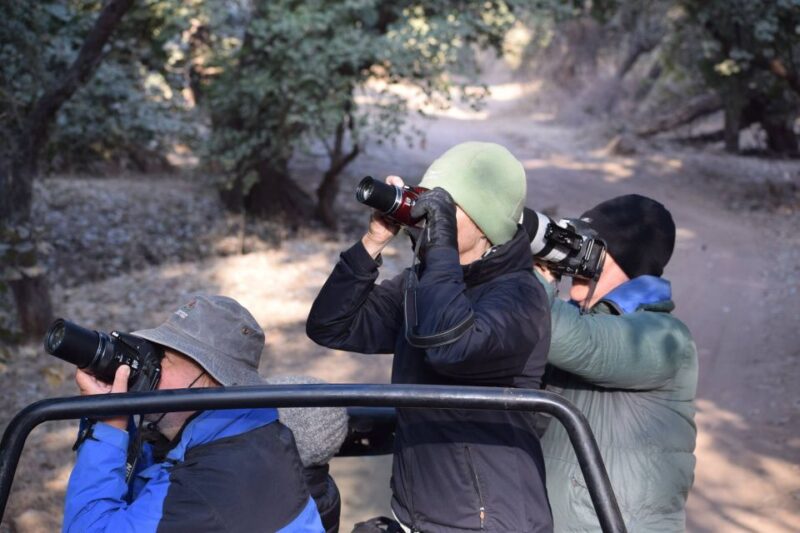 Same Day Ranthambhore WildLife Tour From Jaipur - Ranthambore National Park