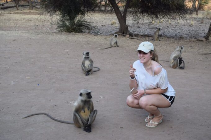 Same Day Ranthambhore WildLife Tour From Jaipur - Accessibility Information