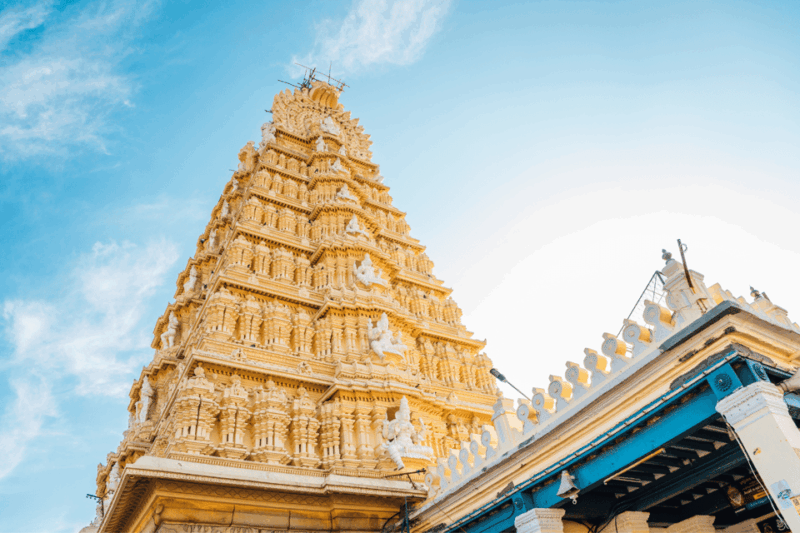 Same Day Tour of Mysore From Bengaluru (Shared Group Tour) - Inclusions
