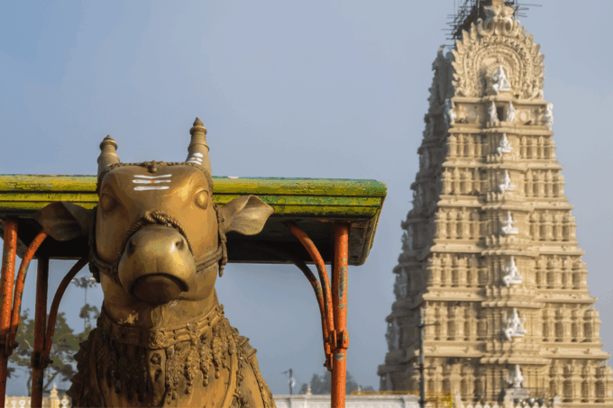 Same Day Tour of Mysore From Bengaluru (Shared Group Tour) - Booking Details