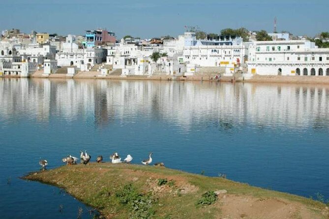 Same Day Tour to Pushkar From Jodhpur With Private Transports - Booking Information