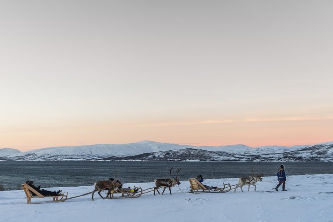 Sami Culture and Short Reindeer Sledding From Tromso - Warm Refreshments and Lunch