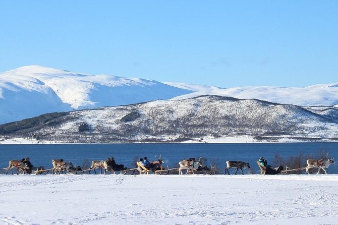 Sami Culture and Short Reindeer Sledding From Tromso - Clothing and Accessibility