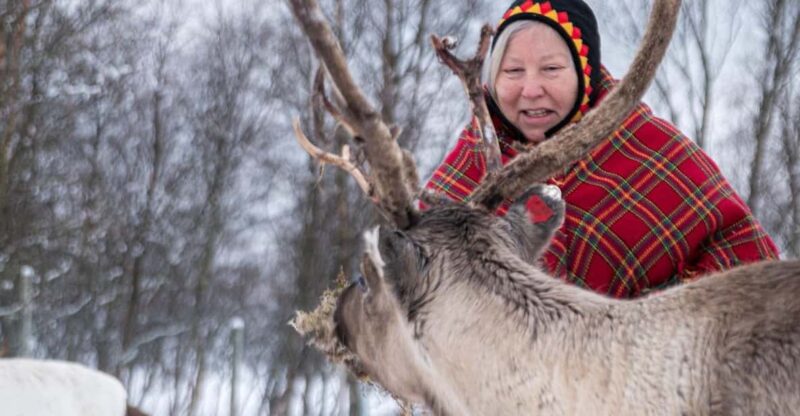 Sami Reindeer Experience - Experience Description