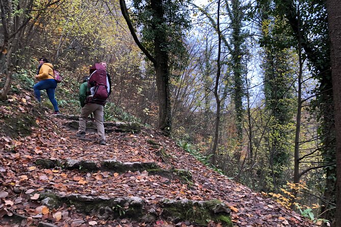 Samobor Town and Castle Walking Tour - Hiking the Scenic Trails to the Castle