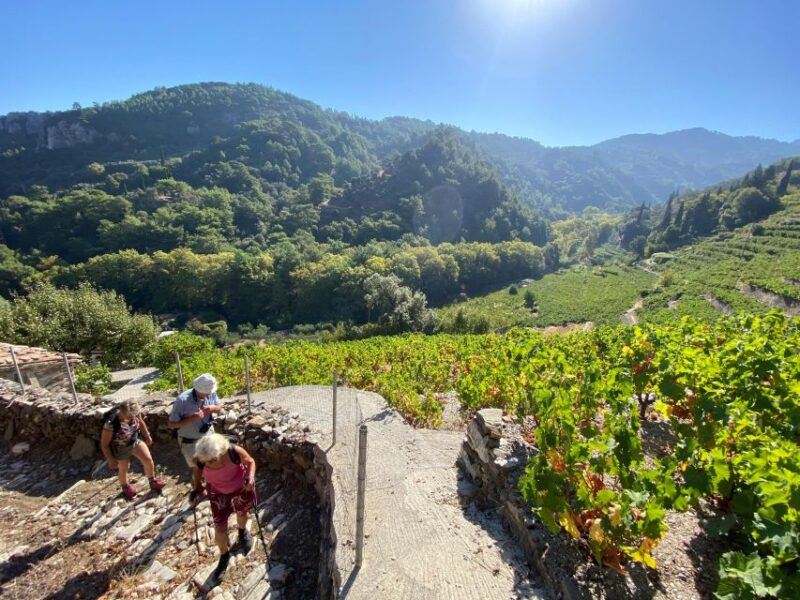 Samos: Full-Day Private Sightseeing Tour - Inclusions