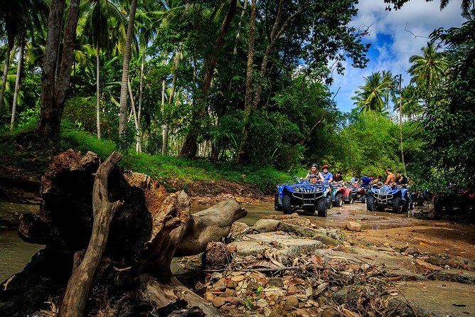 Samui ATV Quad Bike 1 Hour Tour - Inclusions and Safety