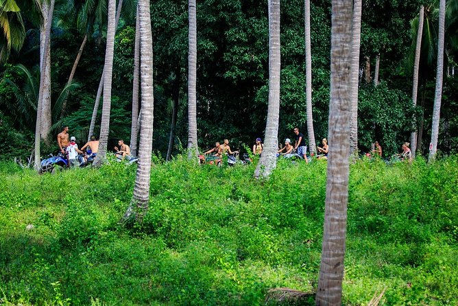 Samui ATV Quad Bike 1 Hour Tour - Feedback and Reviews
