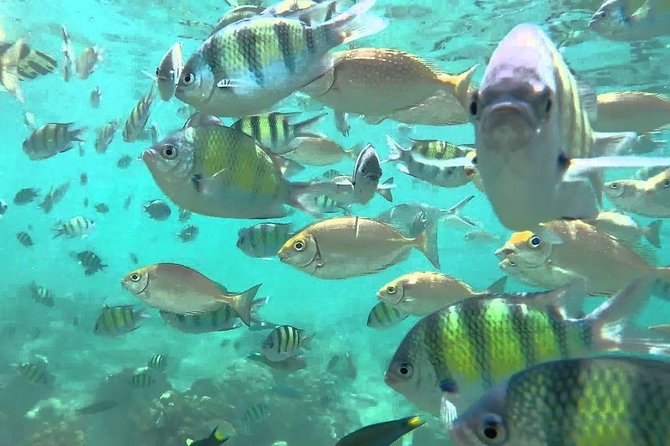 Samui Boat Charter, Private Speedboat Charter, Angthong National Marine Park - Additional Information