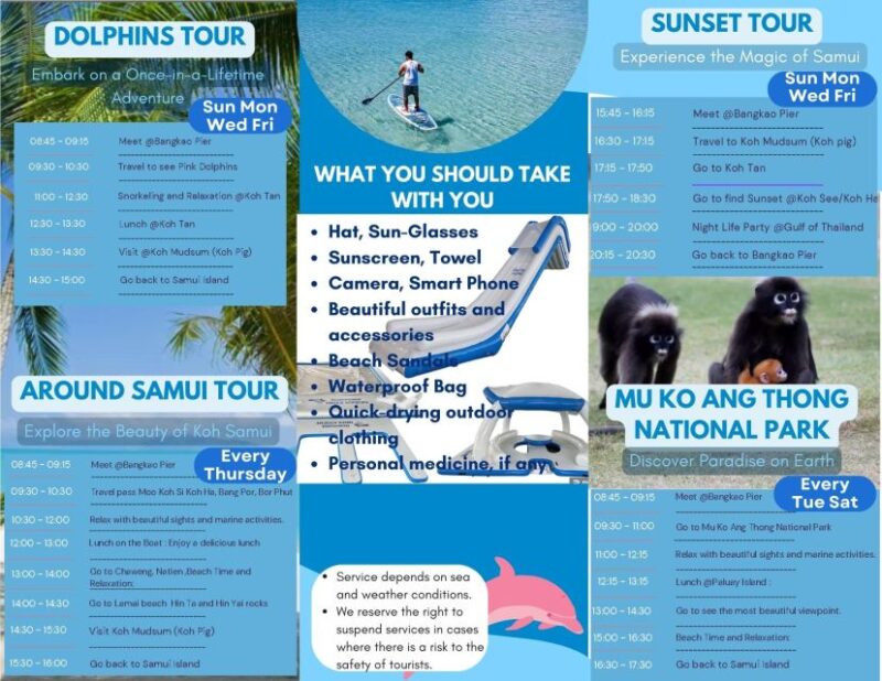 Samui Dolphins Tour by Catamaran Yacht - Close Encounters With Dolphins